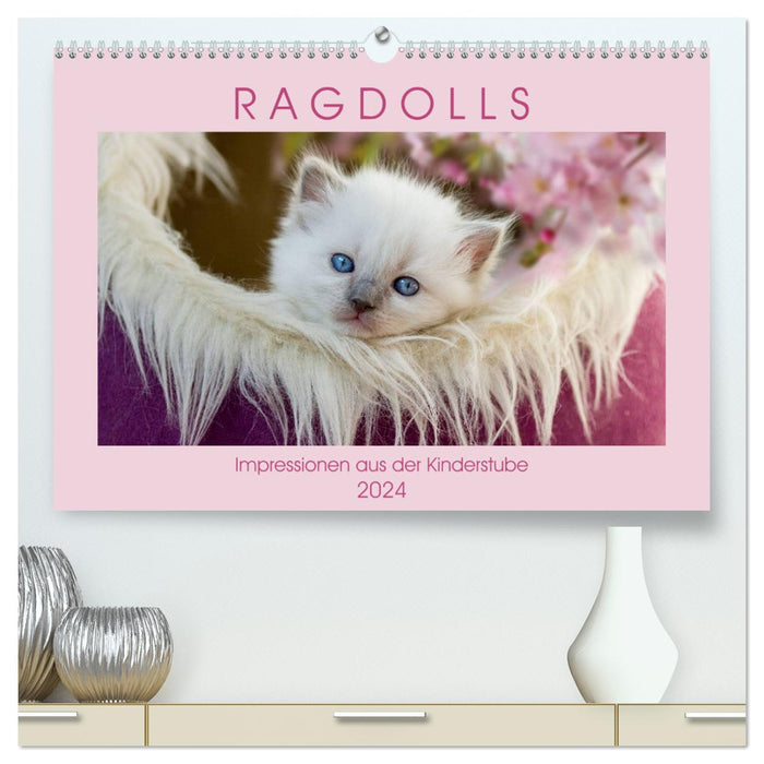 RAGDOLLS Impressionen aus der Kinderstube (CALVENDO Premium Wandkalender 2024)