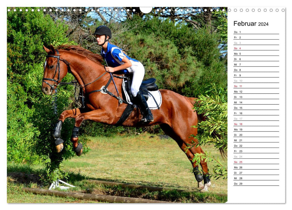 Mein Reitsport Kalender (CALVENDO Wandkalender 2024)