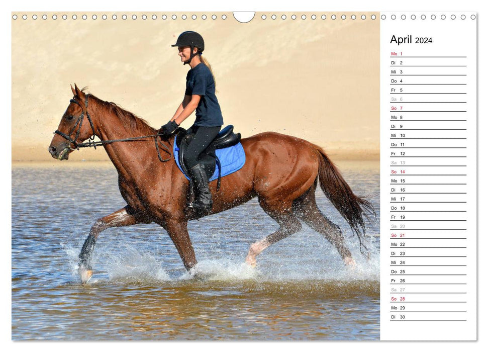 Mon calendrier des sports équestres (Calendrier mural CALVENDO 2024) 