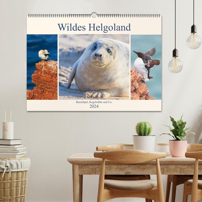 Wildes Helgoland - Basstölpel, Kegelrobbe und Co. 2024 (CALVENDO Wandkalender 2024)