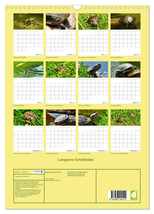 Langsame Schildkröten (CALVENDO Wandkalender 2024)