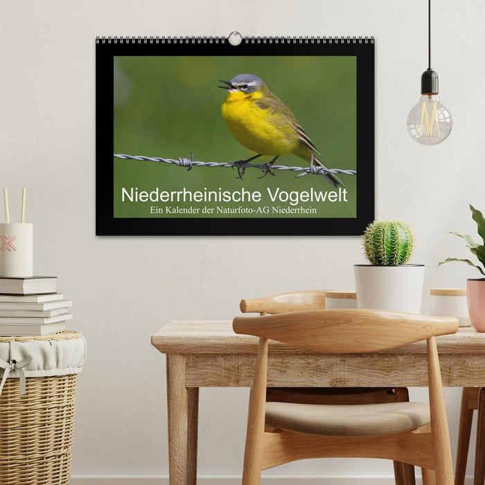 Niederrheinische Vogelwelt (CALVENDO Wandkalender 2024)