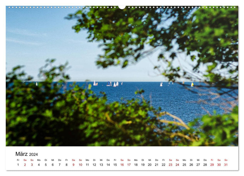 Schleswig-Holstein in 365 Farben (CALVENDO Wandkalender 2024)