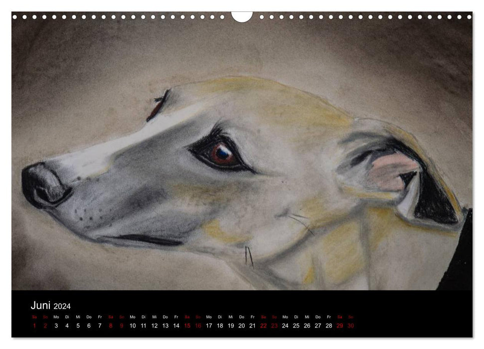 Whippets au pastel (calendrier mural CALVENDO 2024) 