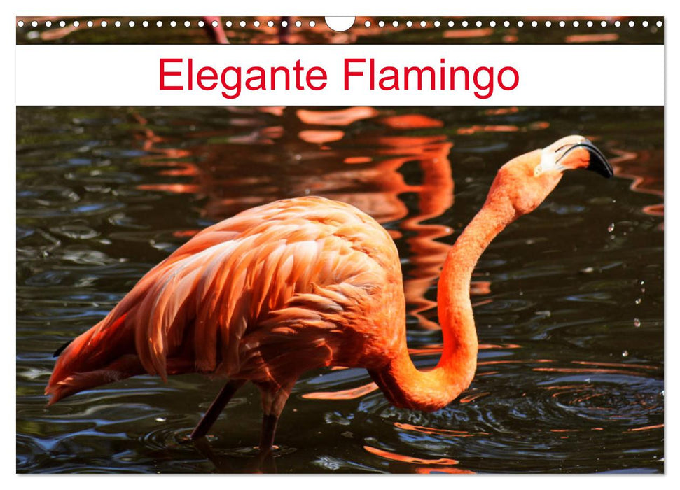 Elegante Flamingo (CALVENDO Wandkalender 2024)