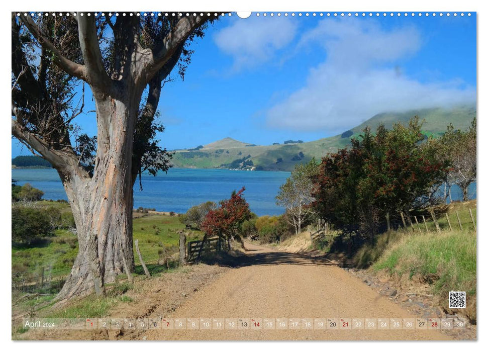 Neuseeland Unterwegs auf den Traumstraßen der Südinsel (CALVENDO Wandkalender 2024)