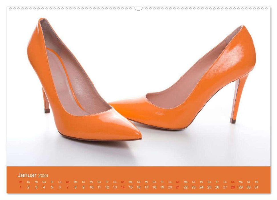 Farbenfrohe High Heels (CALVENDO Premium Wandkalender 2024)