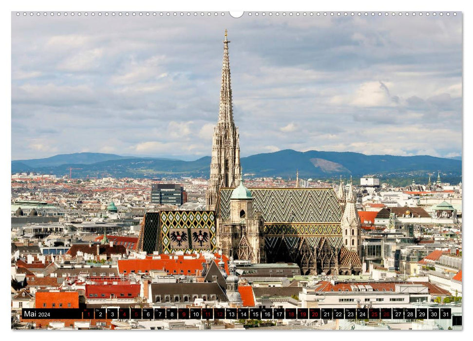 VIENNA from above (CALVENDO wall calendar 2024) 