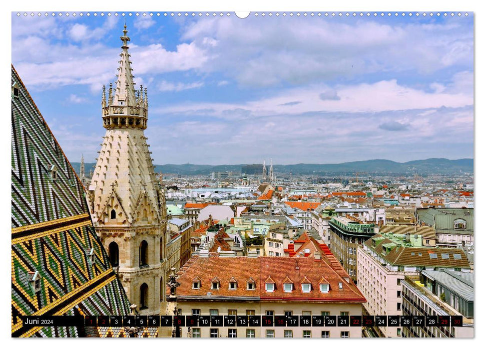 WIEN von oben (CALVENDO Wandkalender 2024)