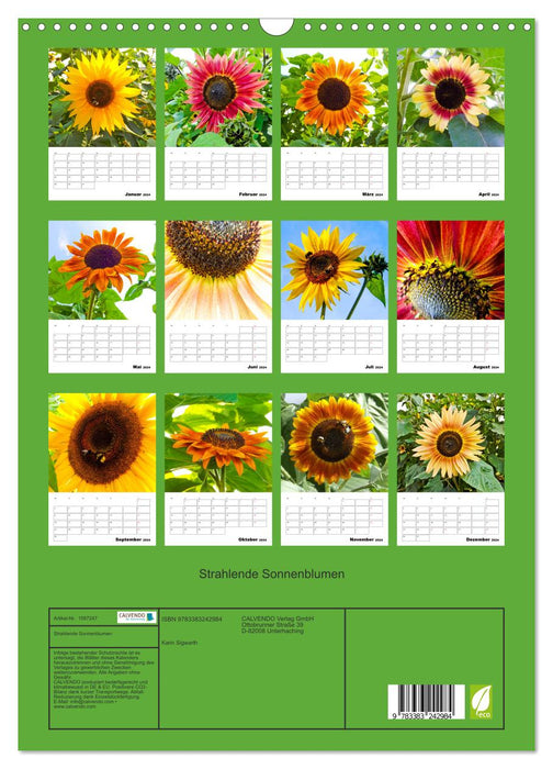 Radiant sunflowers (CALVENDO wall calendar 2024) 
