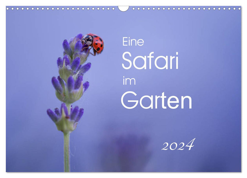 A safari in the garden (CALVENDO wall calendar 2024) 