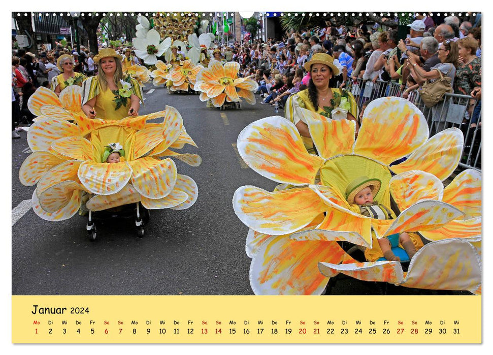 Blumenfest auf Madeira (CALVENDO Wandkalender 2024)