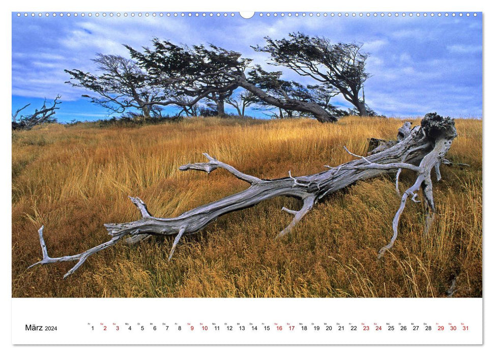 Fascinating Patagonia (CALVENDO wall calendar 2024) 