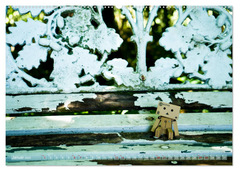 Little adventures with Danbo (CALVENDO wall calendar 2024) 