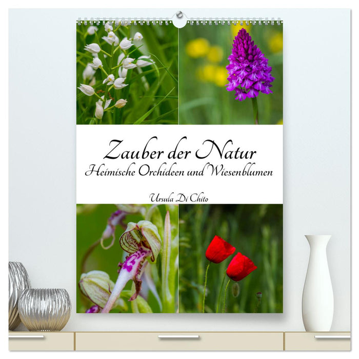 The magic of nature - local orchids and meadow flowers (CALVENDO Premium Wall Calendar 2024) 