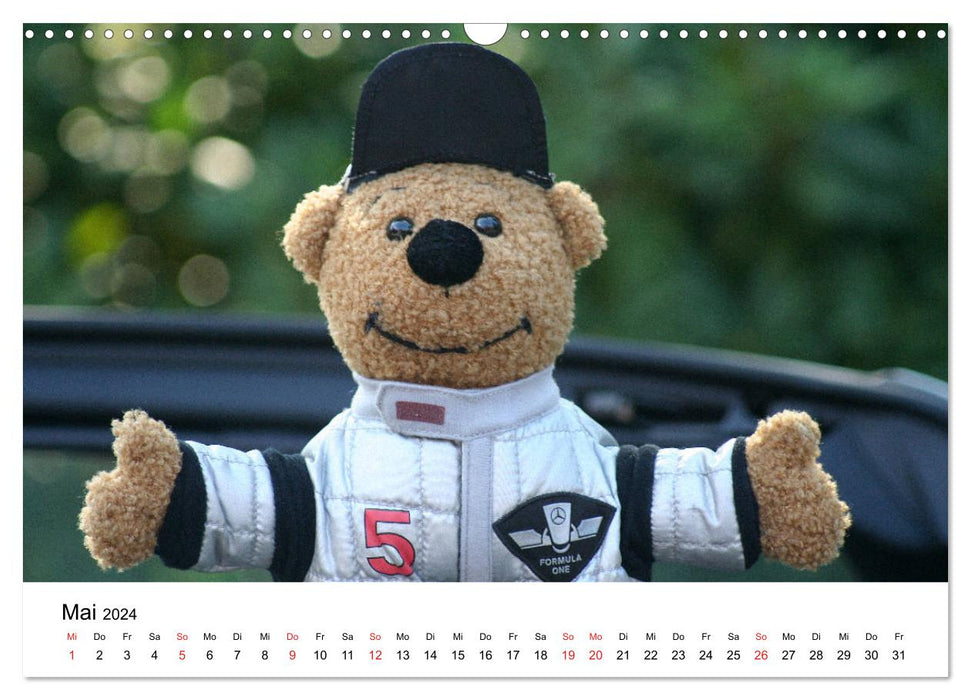 Teddys...everyone loves them (CALVENDO wall calendar 2024) 