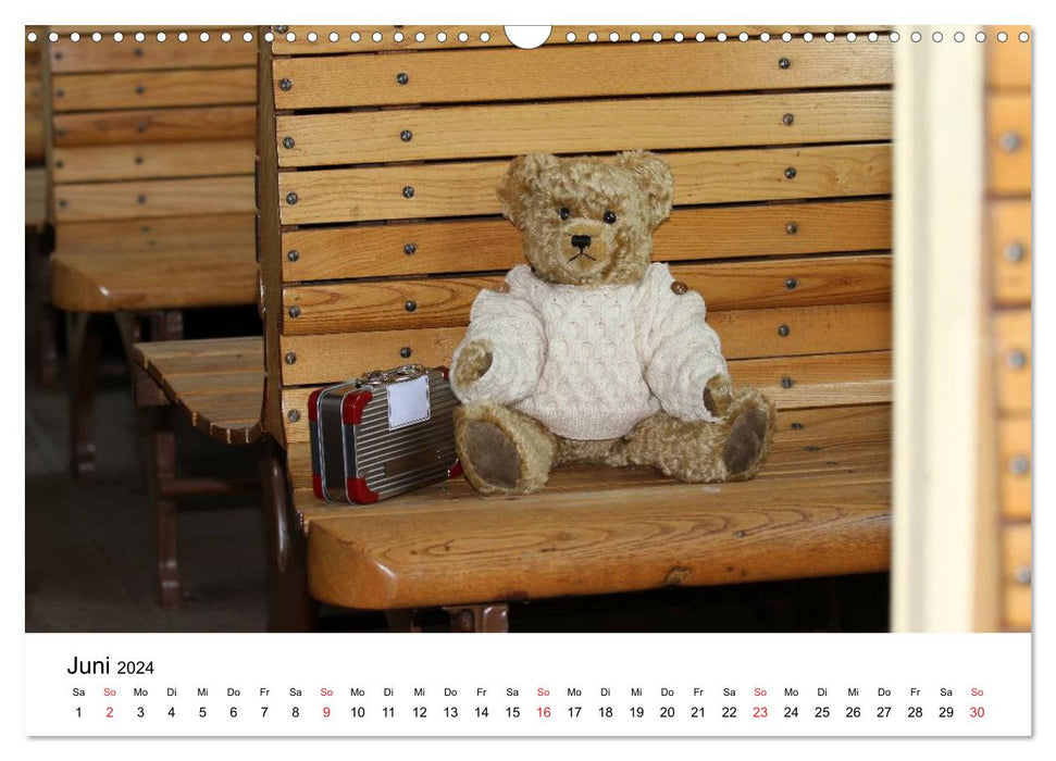 Teddys...everyone loves them (CALVENDO wall calendar 2024) 