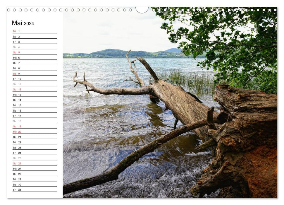 Naturlandschaft Laacher See (CALVENDO Wandkalender 2024)