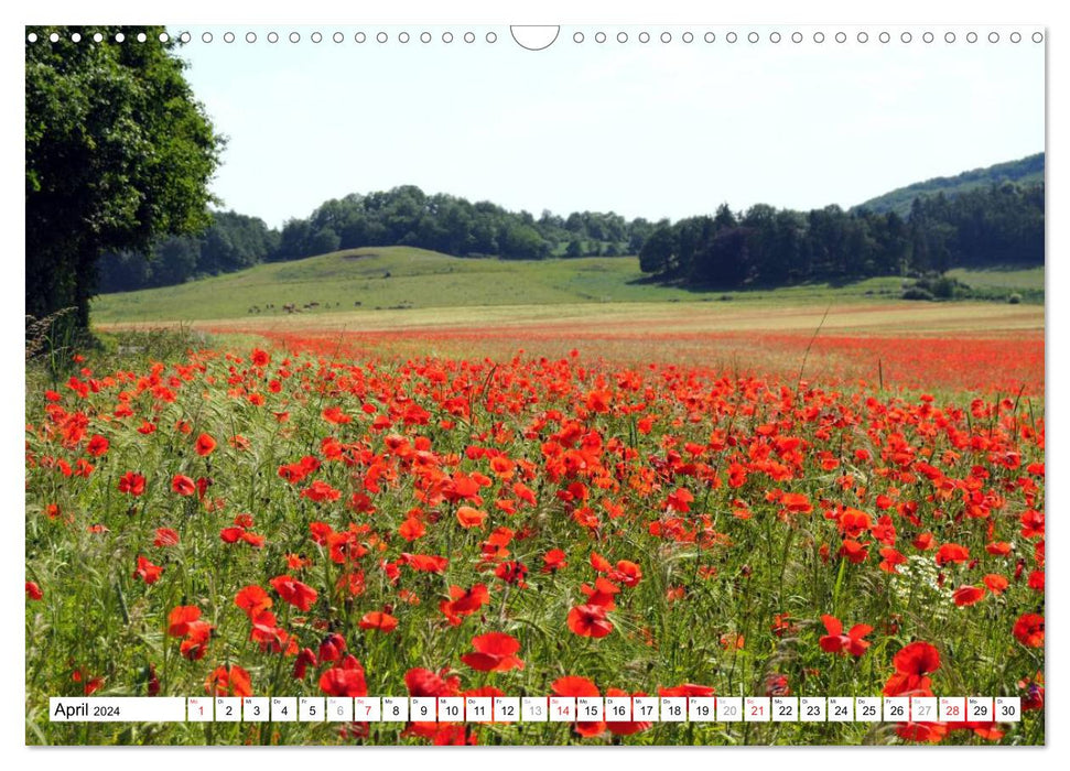 Naturlandschaft Laacher See (CALVENDO Wandkalender 2024)