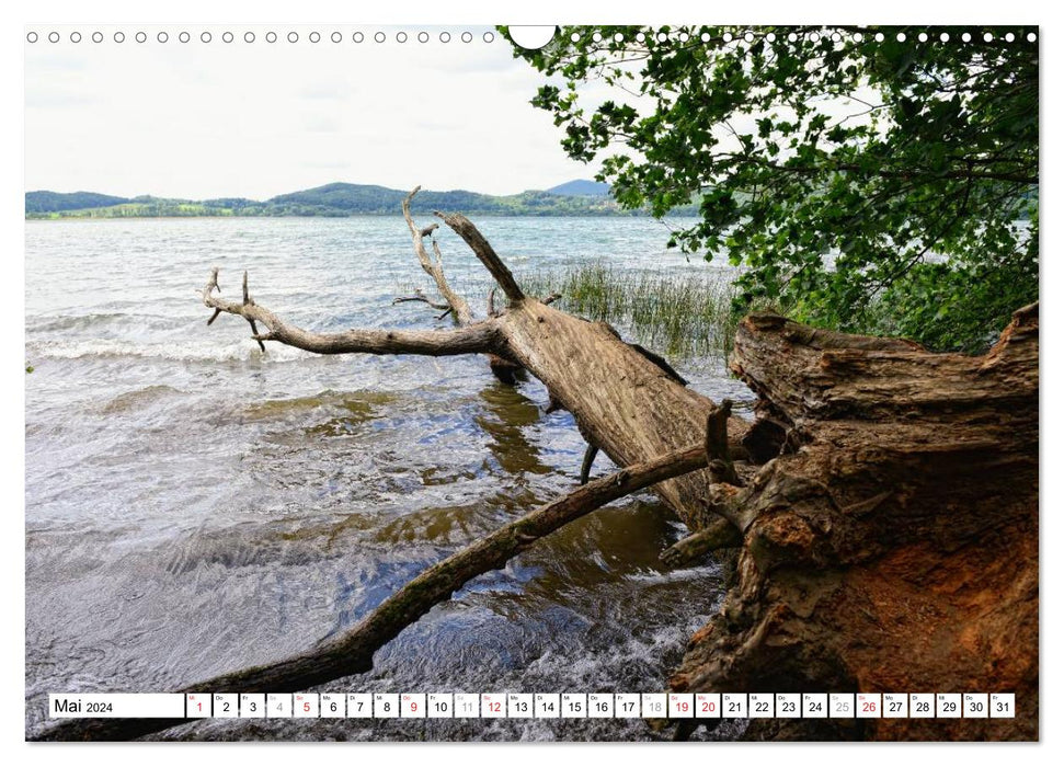 Natural landscape of Laacher See (CALVENDO wall calendar 2024) 