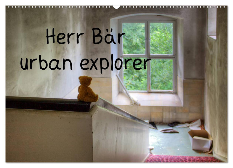 Mr. Bear urban explorer (CALVENDO wall calendar 2024) 