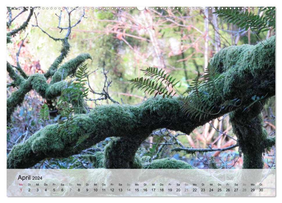 Brittany - Wilderness Finistère (CALVENDO Premium Wall Calendar 2024) 