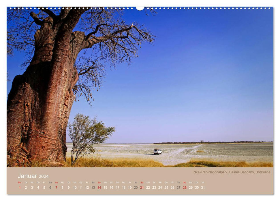 Pisten im südlichen Afrika (CALVENDO Premium Wandkalender 2024)