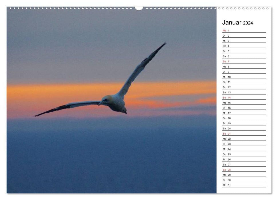 Soirée à Helgoland (calendrier mural CALVENDO 2024) 