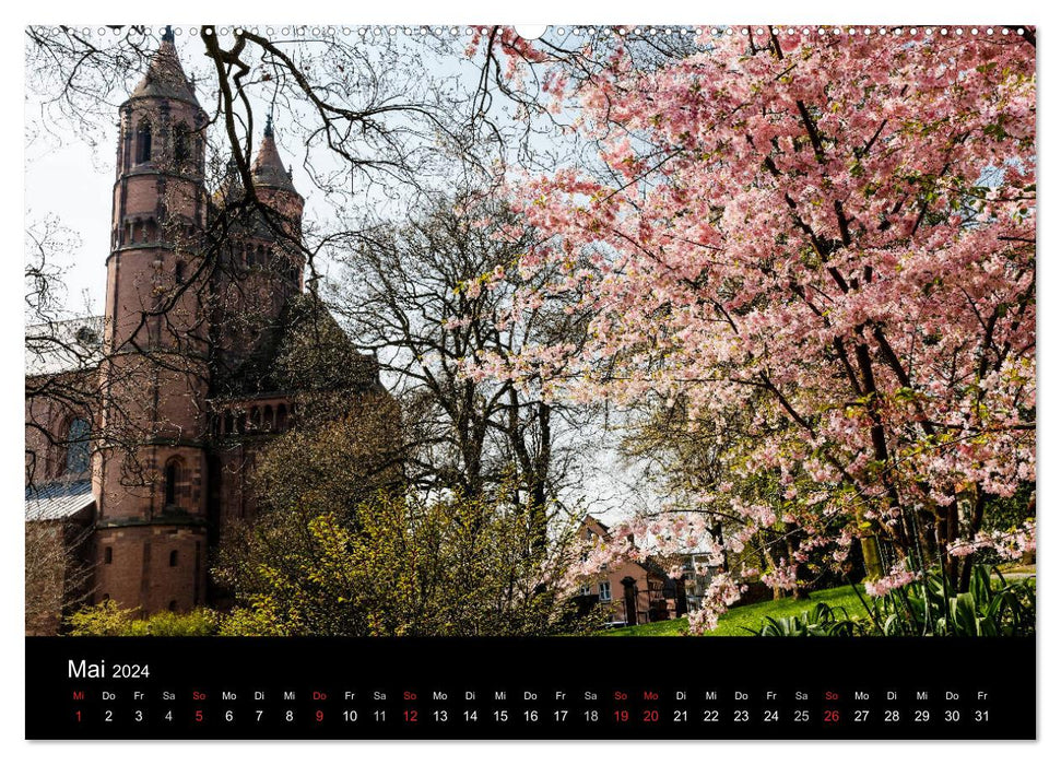 Martin Luther - Stationen seines Lebens (CALVENDO Wandkalender 2024)