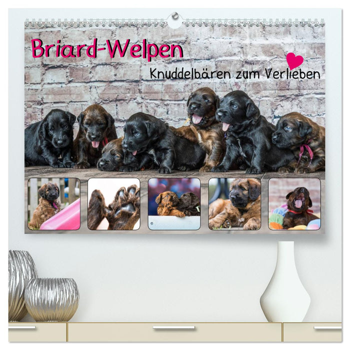 Briard-Welpen - Knuddelbären zum Verlieben (CALVENDO Premium Wandkalender 2024)