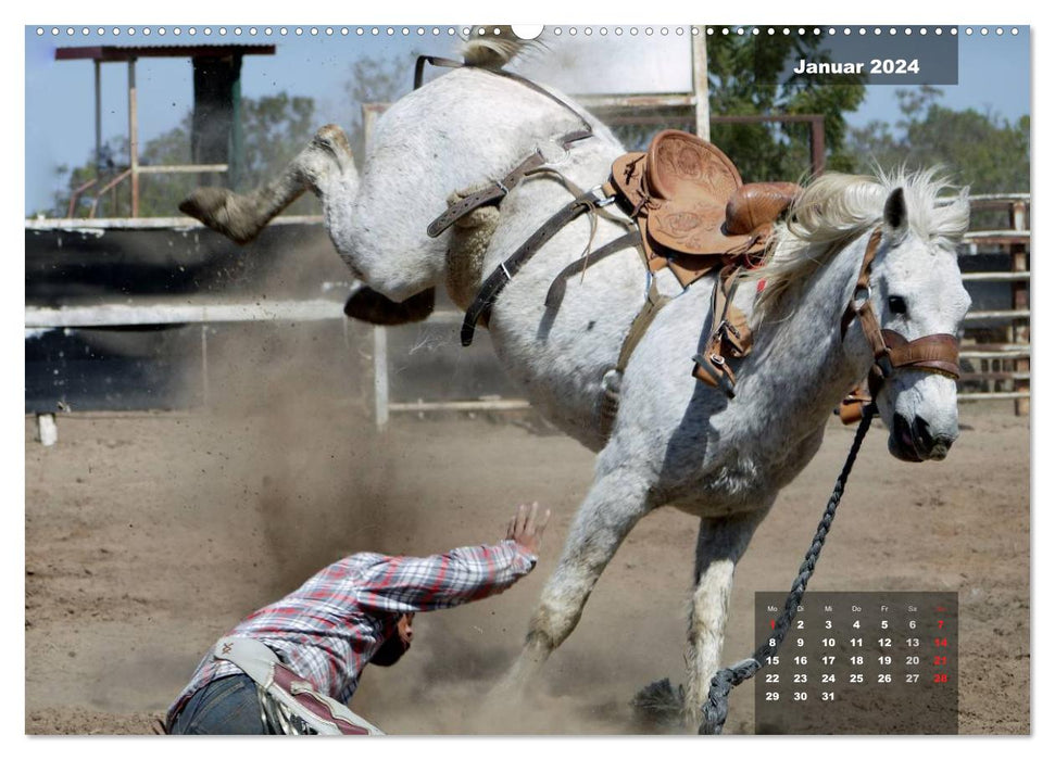 Faszination Rodeo (CALVENDO Wandkalender 2024)