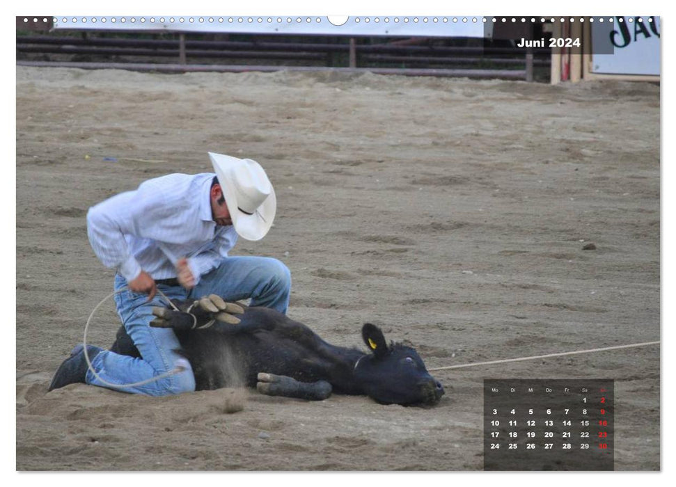 Faszination Rodeo (CALVENDO Wandkalender 2024)