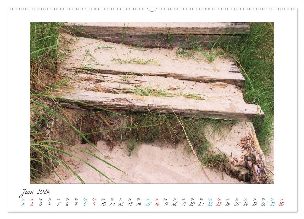 Amrum - Farben einer Insel (CALVENDO Wandkalender 2024)