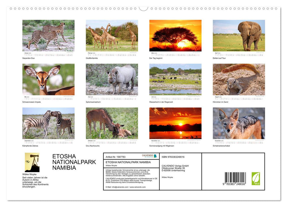ETOSHA NATIONALPARK Traumziel in Namibia (CALVENDO Premium Wandkalender 2024)