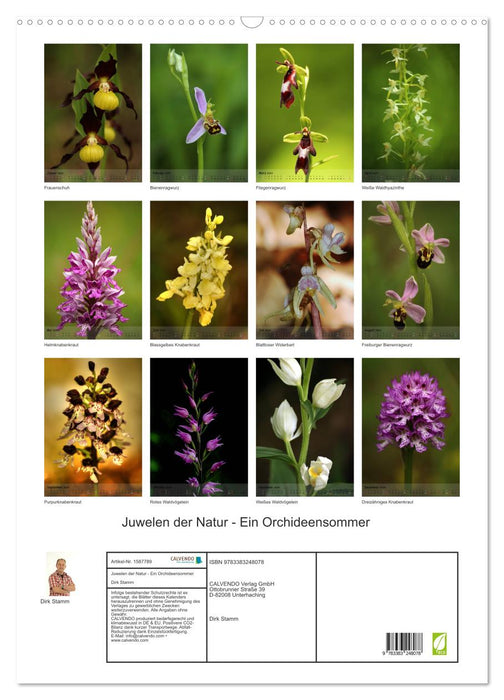 Juwelen der Natur - Ein Orchideensommer (CALVENDO Wandkalender 2024)