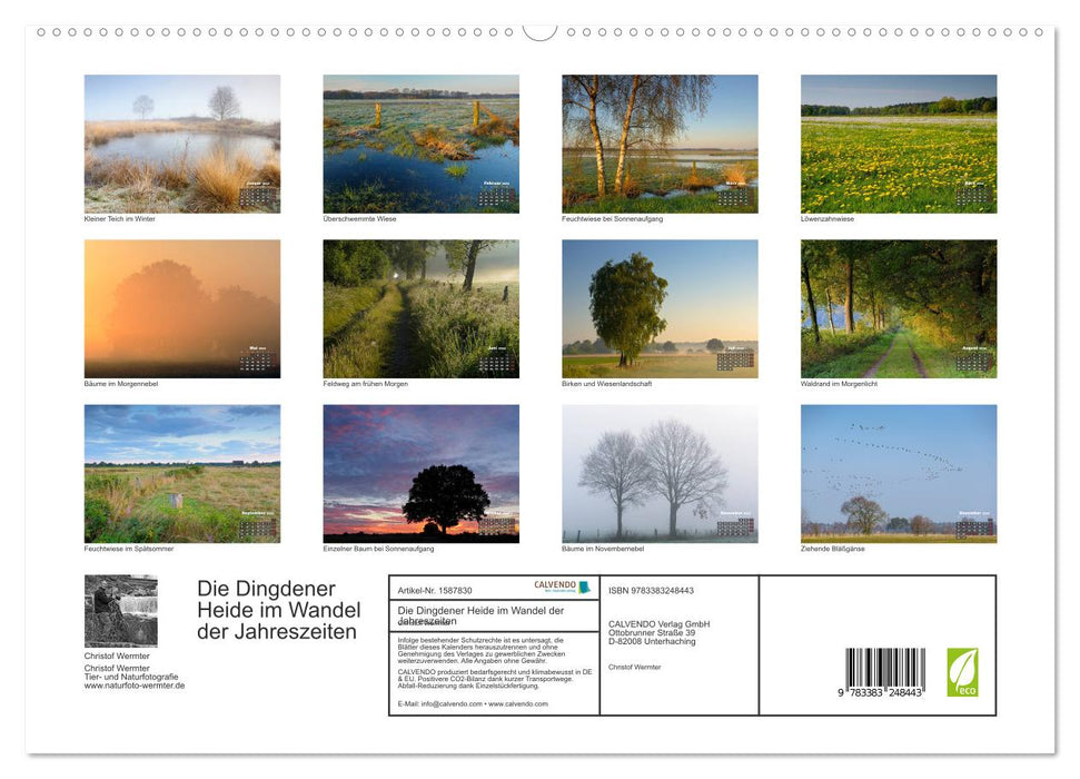 Die Dingdener Heide im Wandel der Jahreszeiten (CALVENDO Premium Wandkalender 2024)