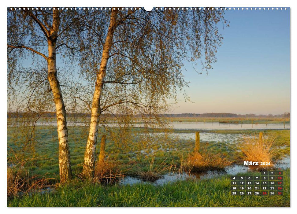 Die Dingdener Heide im Wandel der Jahreszeiten (CALVENDO Premium Wandkalender 2024)