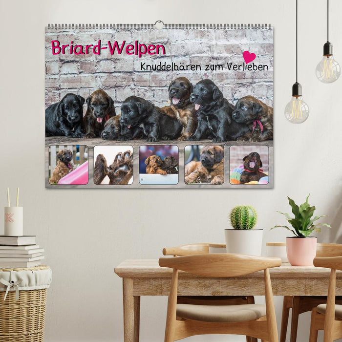 Briard-Welpen - Knuddelbären zum Verlieben (CALVENDO Wandkalender 2024)