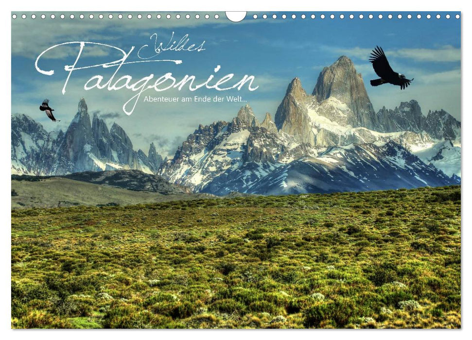 Wildes Patagonien - Abenteuer am Ende der Welt (CALVENDO Wandkalender 2024)