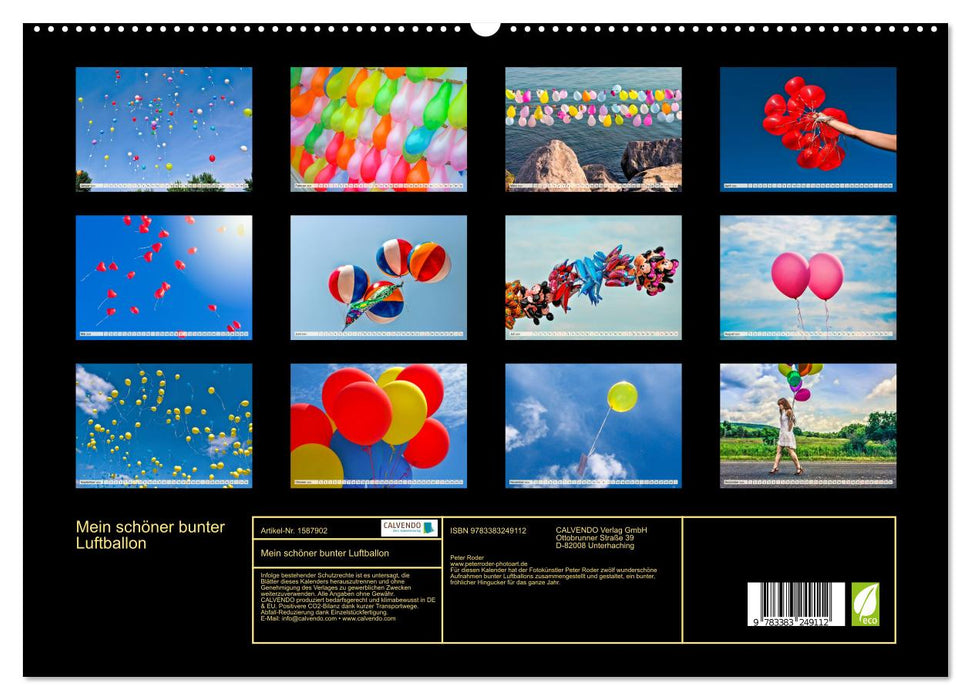 Mein schöner bunter Luftballon (CALVENDO Premium Wandkalender 2024)