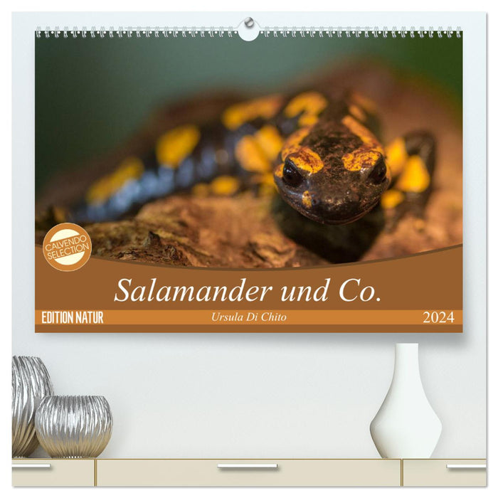 Salamander und Co. (CALVENDO Premium Wandkalender 2024)