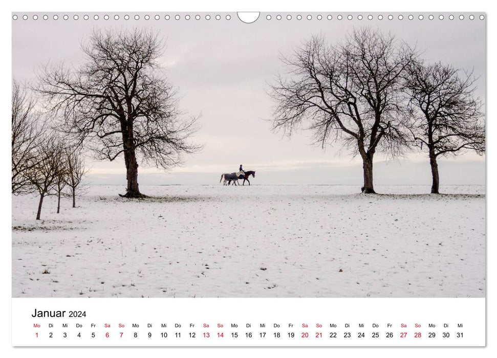 Sentiers dans la nature - Kraichgau et Enzkreis (Calendrier mural CALVENDO 2024) 