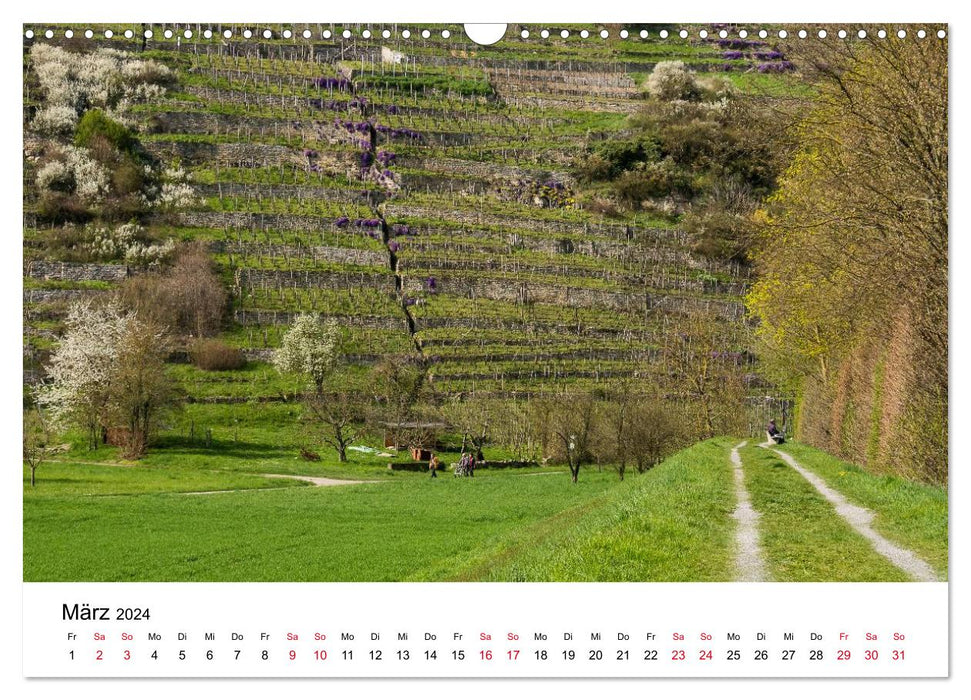 Wege in der Natur - Kraichgau und Enzkreis (CALVENDO Wandkalender 2024)