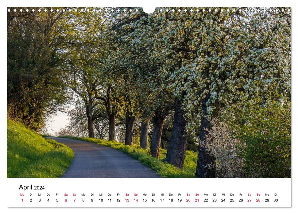 Sentiers dans la nature - Kraichgau et Enzkreis (Calendrier mural CALVENDO 2024) 