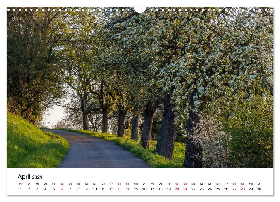 Wege in der Natur - Kraichgau und Enzkreis (CALVENDO Wandkalender 2024)