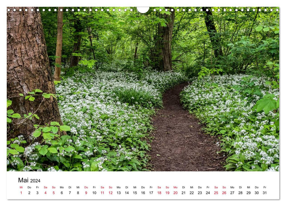 Wege in der Natur - Kraichgau und Enzkreis (CALVENDO Wandkalender 2024)