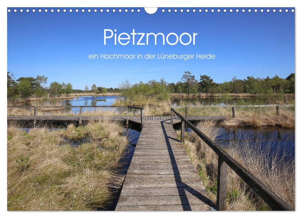 Pietzmoor - ein Hochmoor in der Lüneburger Heide (CALVENDO Wandkalender 2024)