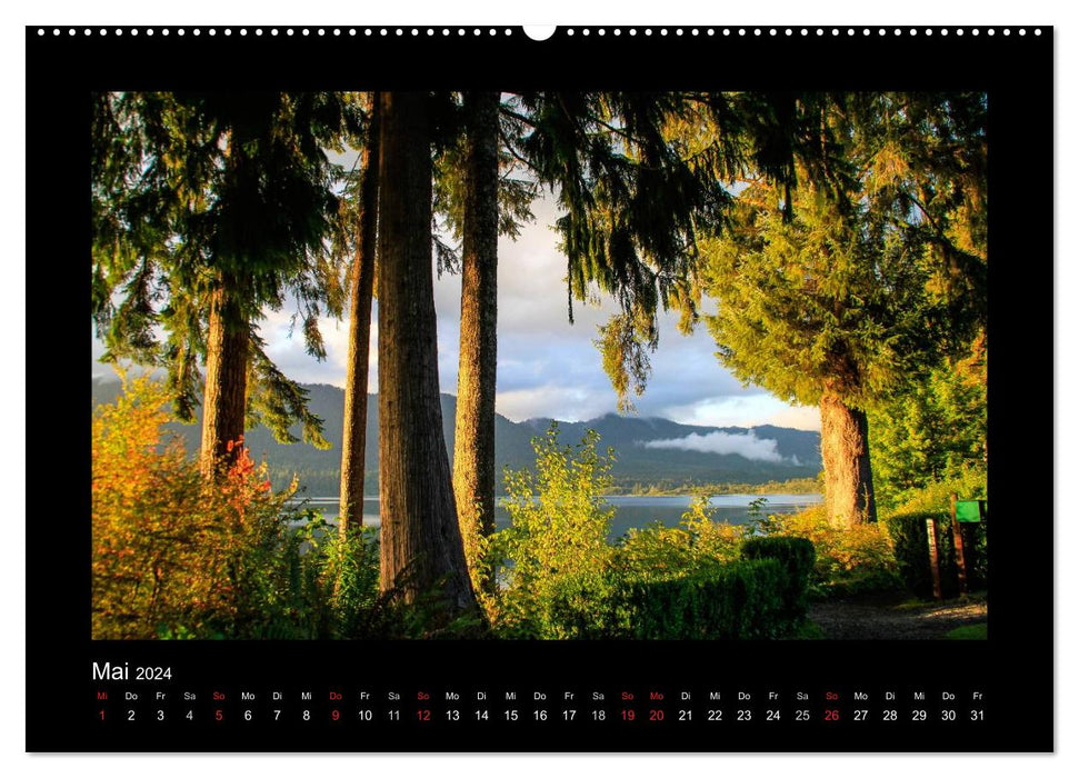 DREAM LIGHT WORLDWIDE (CALVENDO wall calendar 2024) 