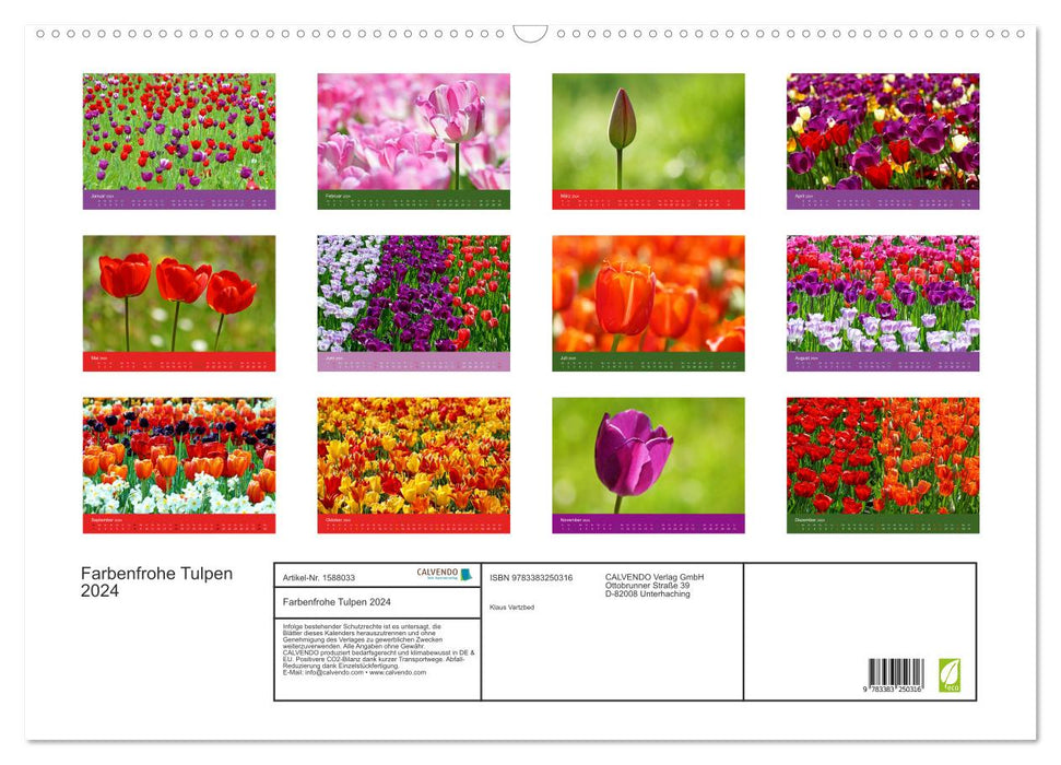 Colorful tulips 2024 (CALVENDO wall calendar 2024) 