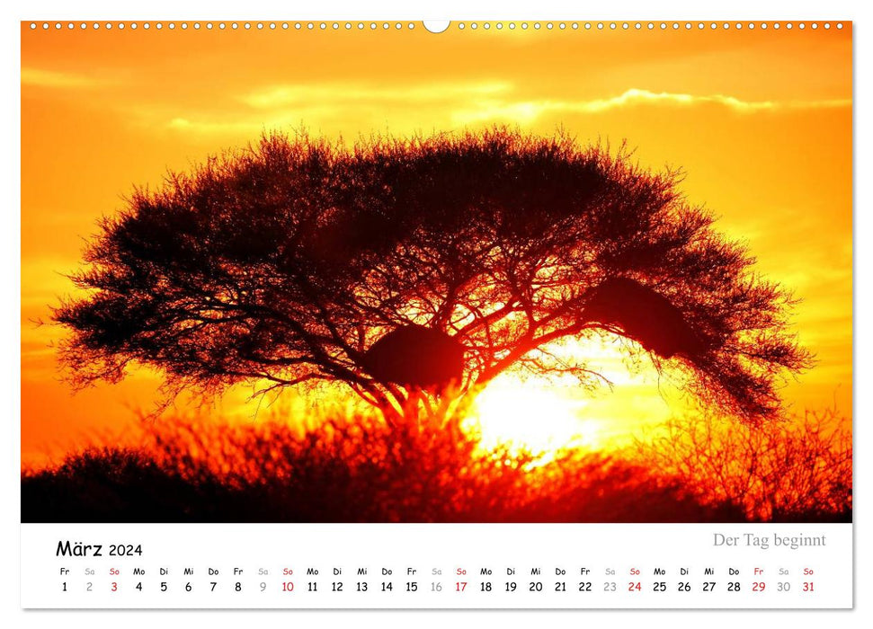 ETOSHA NATIONAL PARK dream destination in Namibia (CALVENDO wall calendar 2024) 